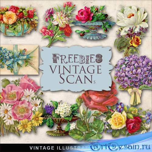 Scrap-kit - Vintage Flowers Illustrations #2