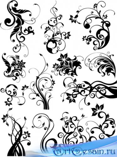 Floral design elements |    