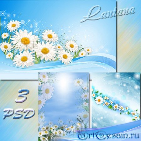 PSD  -     