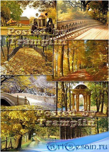   Autumn landscapes   