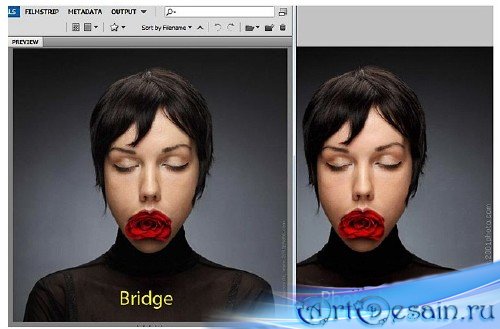     Adobe Photoshop 6.0 (2012) PDF