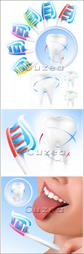        / Toothbrush and beautiful teeth in a vector