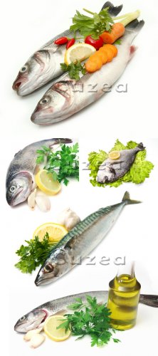       | Fresh fish and greens on a white background - Stock photo