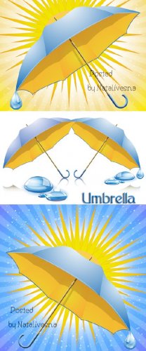   / Umbrella in Vector