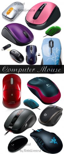   PNG   / Computer mouse - Clipart in PNG