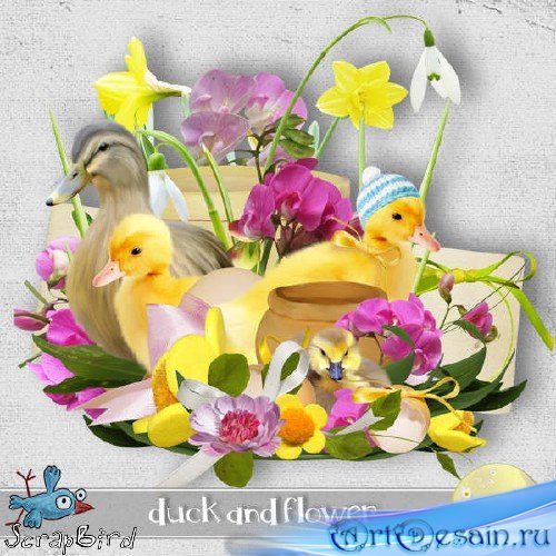  - - Duck and Flower