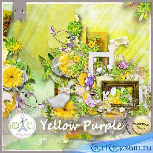  - - Yellow Purple