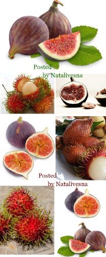    / Fig and Rambutan - Stock photo