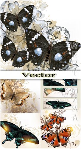      / Butterflies and backgrounds with flowers - vector clipart