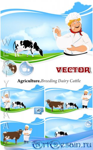 ,   / Breeding dairy cattle - vector clipart