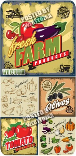   ,  / Label with vegetables, vintage - stock vector