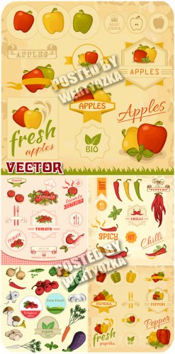      / Vintage labels - stock vector