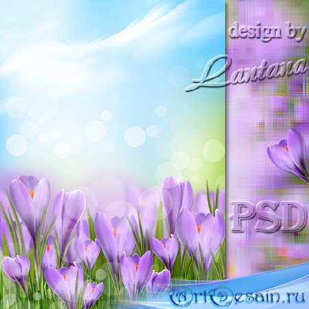 PSD  - -,  