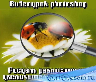  photoshop  -    