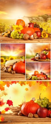  ,   / Autumn background, fall harvest - Stock photo