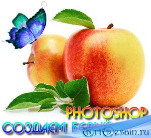     Photoshop (2015)